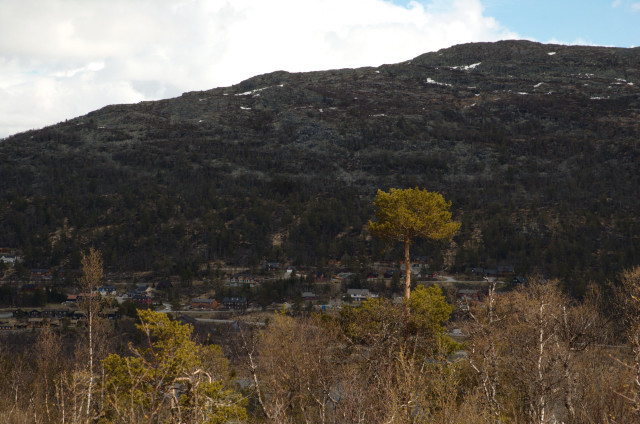 Norge07LT_034