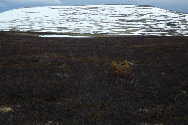 Norge07LT_060