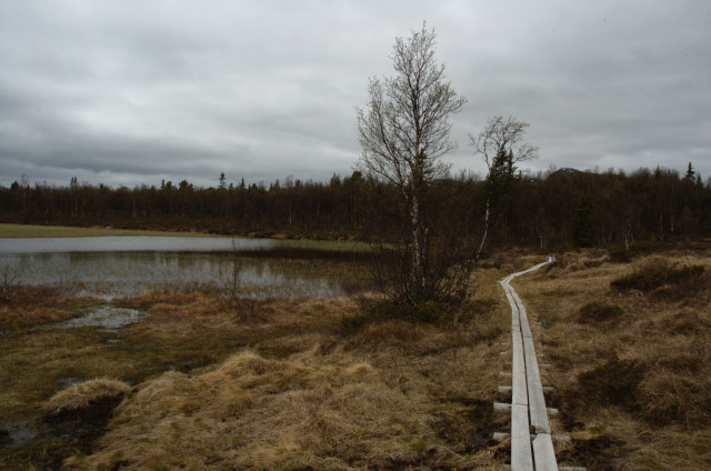 Norge07LT_066