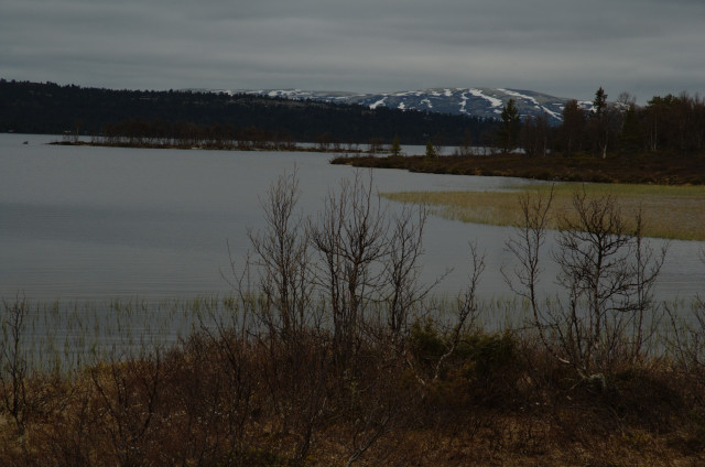 Norge07LT_067