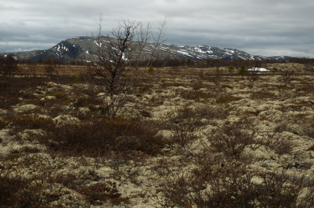 Norge07LT_074