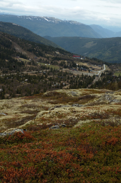 Norge07LT_078