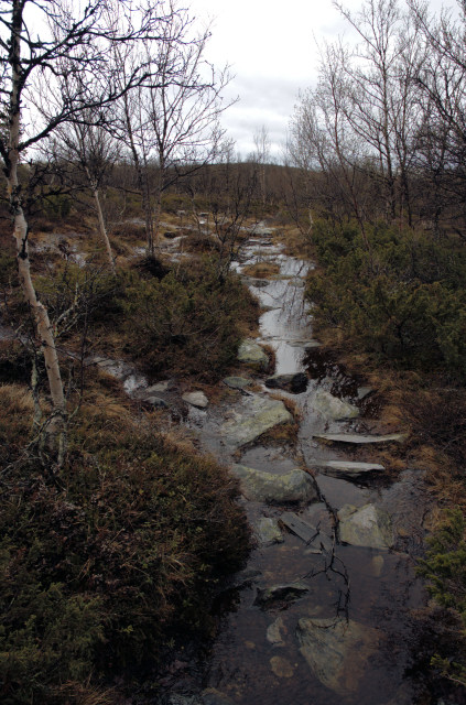 Norge07LT_088