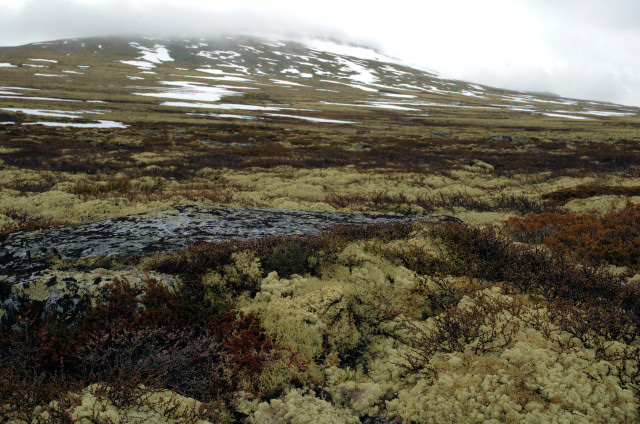 Norge07LT_091