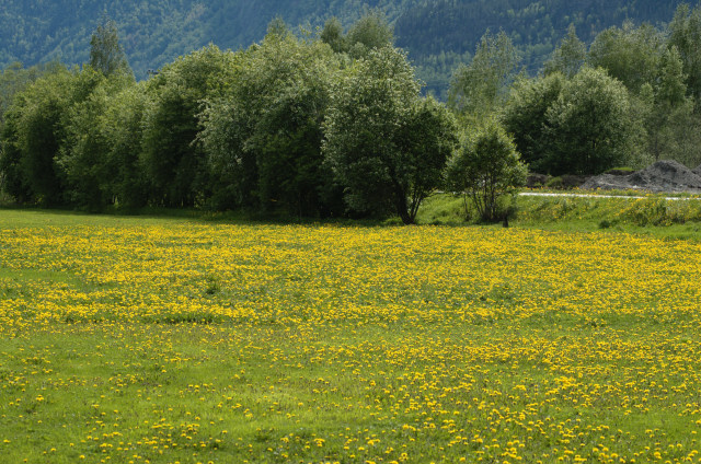 Norge07LT_099