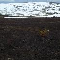 Norge07LT_060