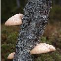 Norge07LT_068