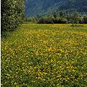 Norge07LT_098