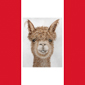 Peru2025